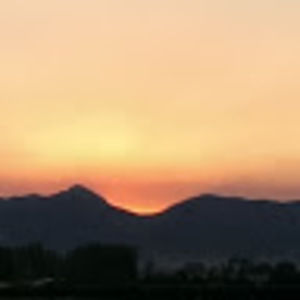 Meet your Posher, My